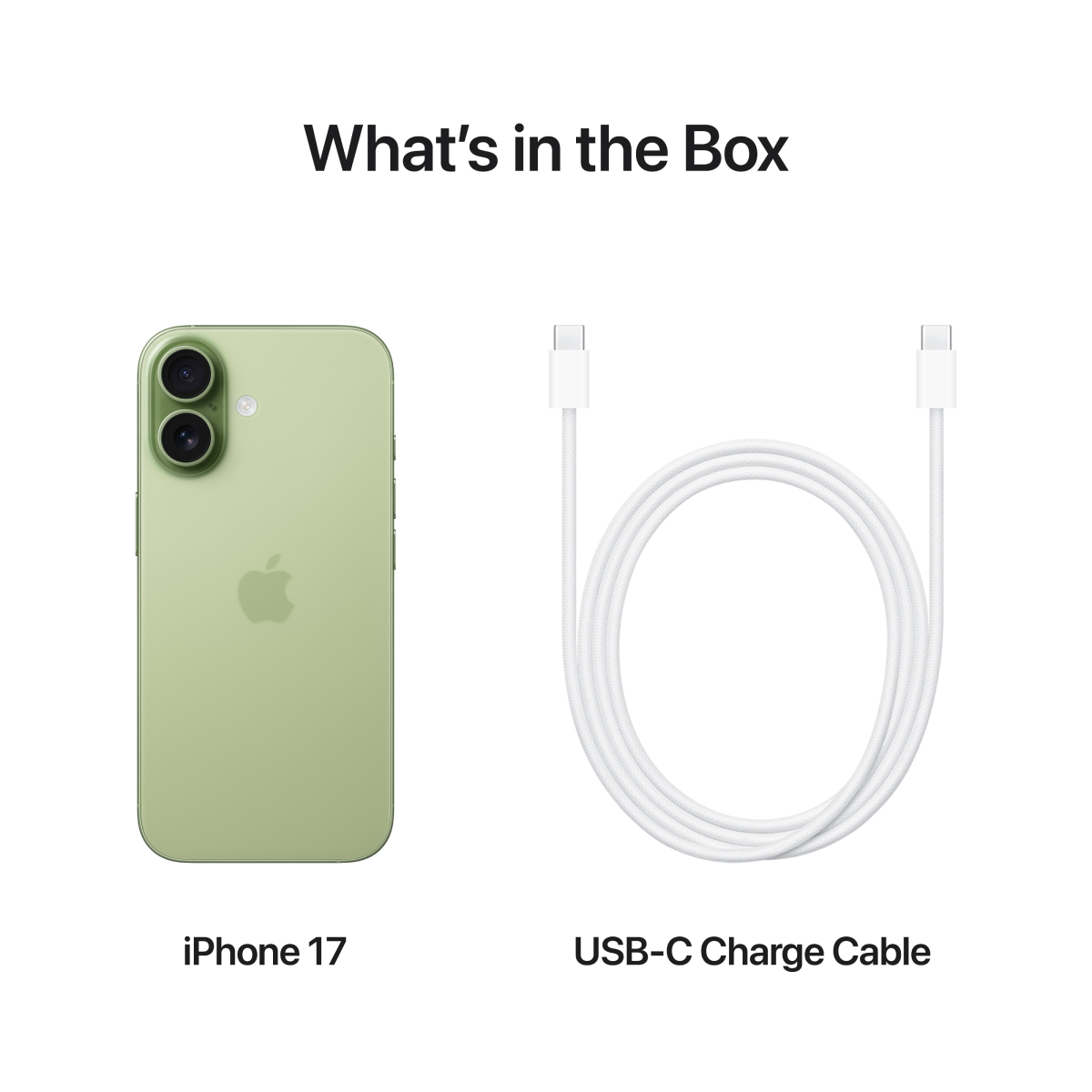 APPLE iPhone 17 Smartphone 256GB, Πράσινο Sage | Apple| Image 8