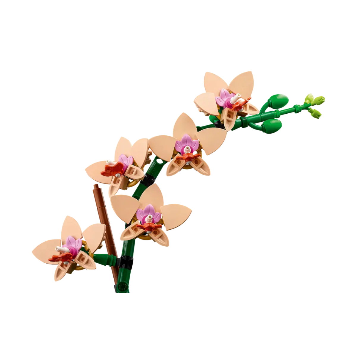 LEGO® Botanicals: Μίνι Ορχιδέα | Lego| Image 3