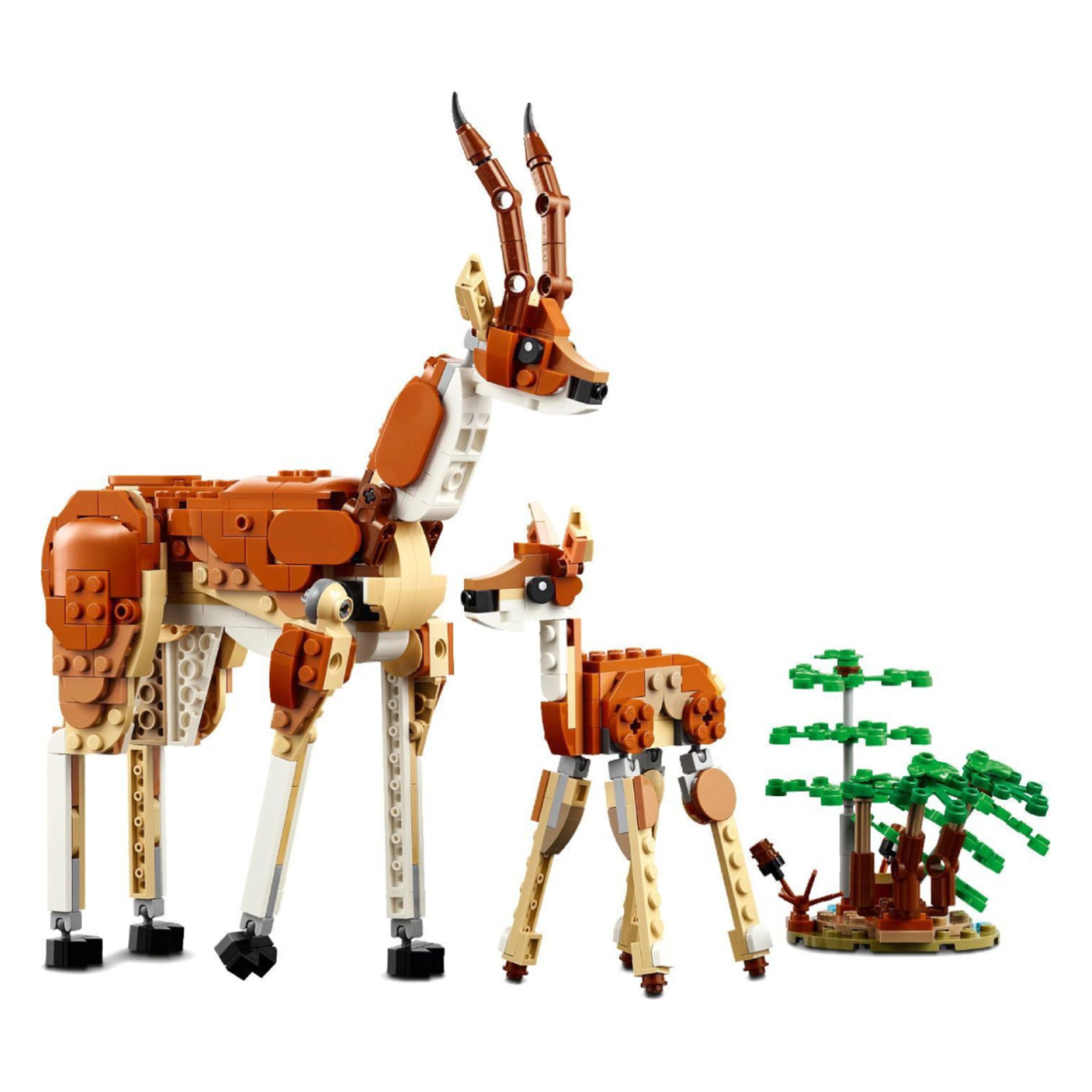 LEGO® 095742 Creator 3‑in‑1 Άγρια Ζώα Σαφάρι  | Lego| Image 5