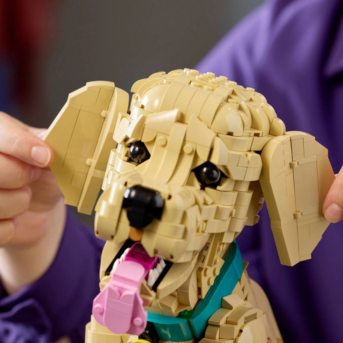 LEGO® 115543 Icons Golden Retriever Puppy | Lego| Image 4