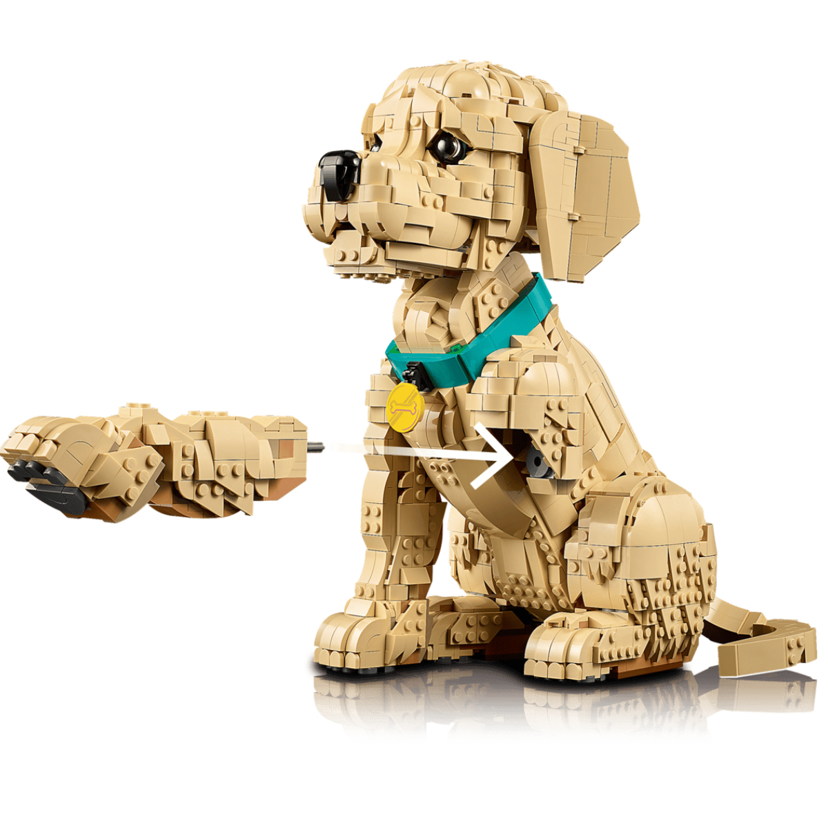 LEGO® 115543 Icons Golden Retriever Puppy | Lego| Image 9